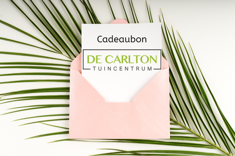 Beperken Overblijvend toevoegen Tuin- & Cadeaubonnen - De Carlton | Tuincentrum Westland